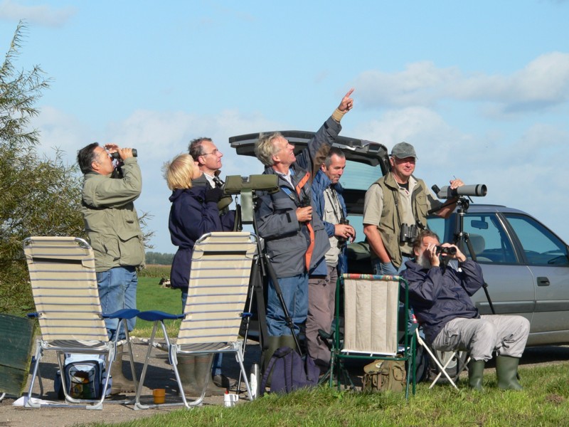 Eurobirdwatch waarnemers in de Wilck
